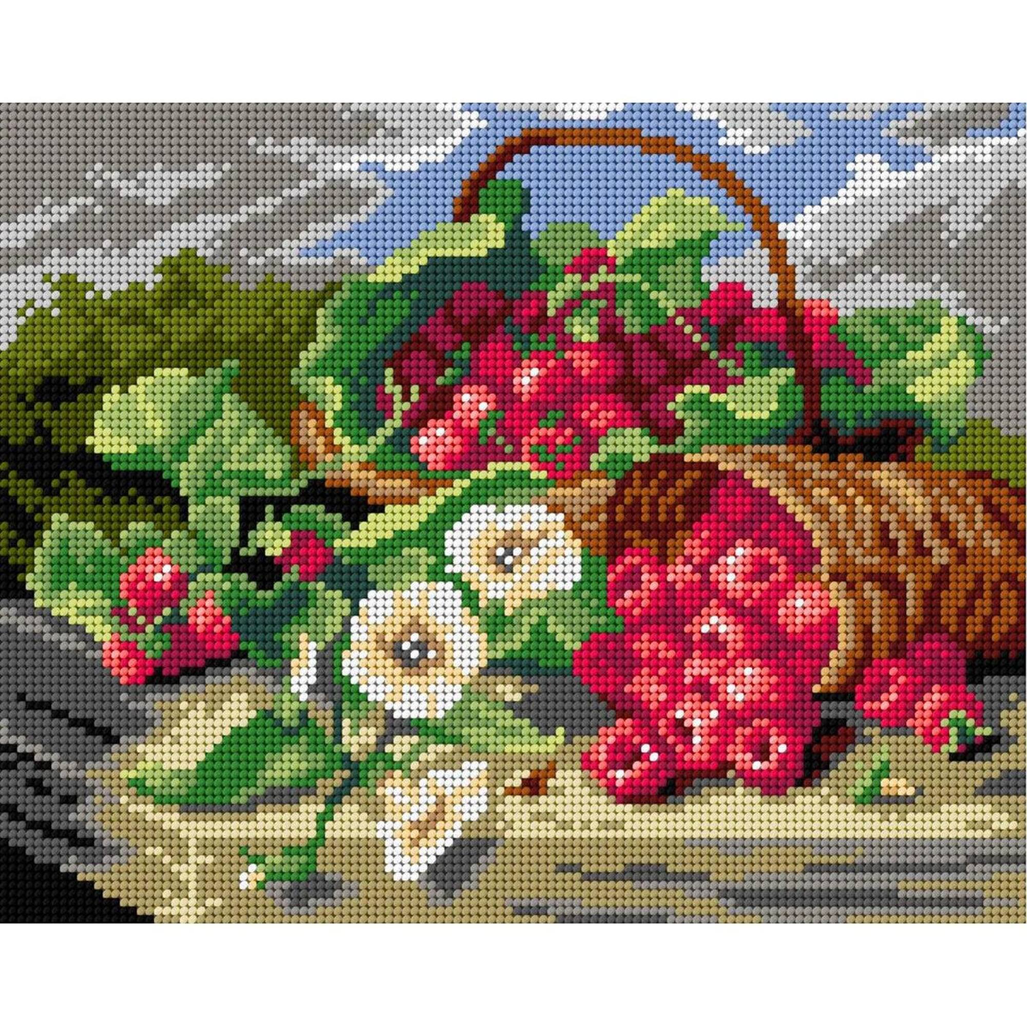 Orchidea Eloise Harriet Stannard Still Life with Raspberries Gobelin Canvas for Halfstitch without Yarn